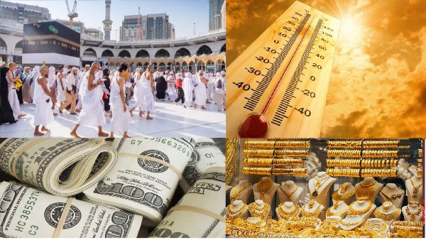 صورة الملف