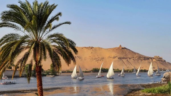 محافظ أسوان: نسب الإشغال السياحي وصلت لأكثر من 60%