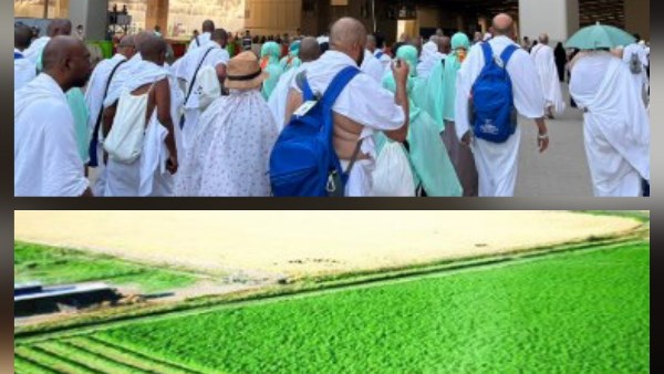 ارشيفيه 