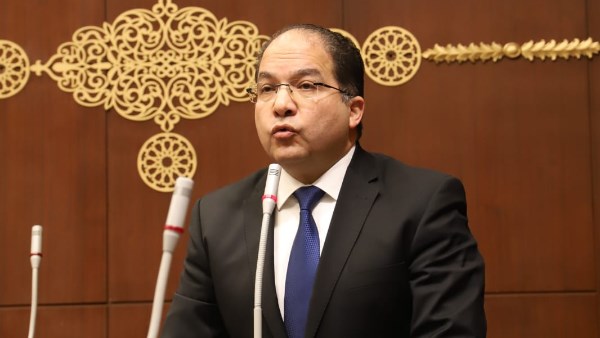 النائب عادل اللمعي عضو مجلس النواب