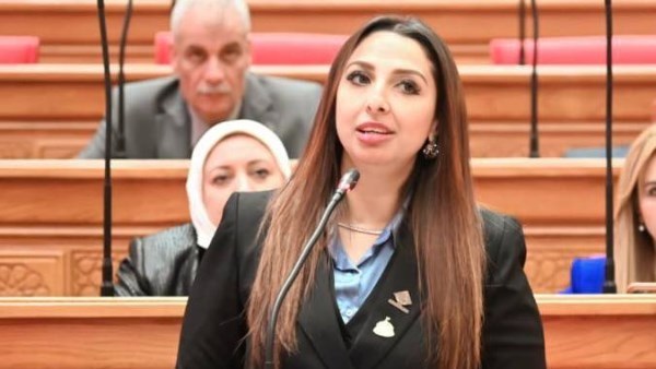نشوى الشريف - عضو لجنة القوى العاملة بمجلس النواب