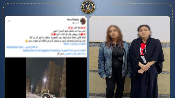 مشاجرة بسبب كلاب 