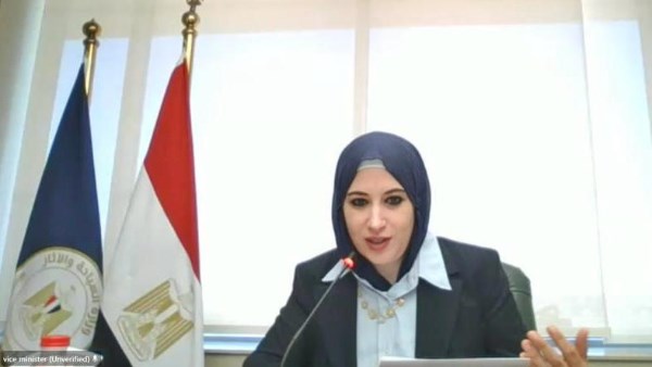 نائب وزير السياحة 