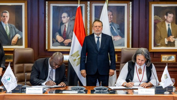 الكوميسا 