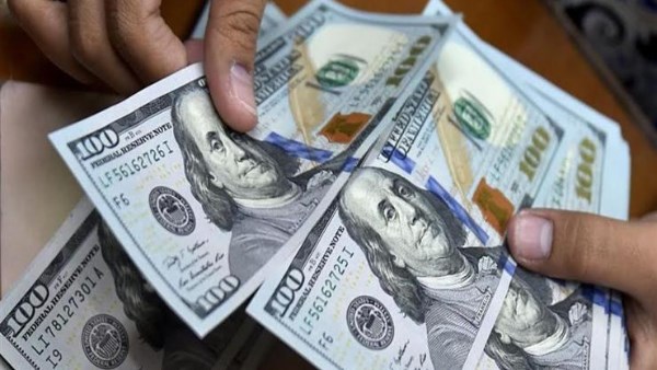 سعر الدولار في مصر 