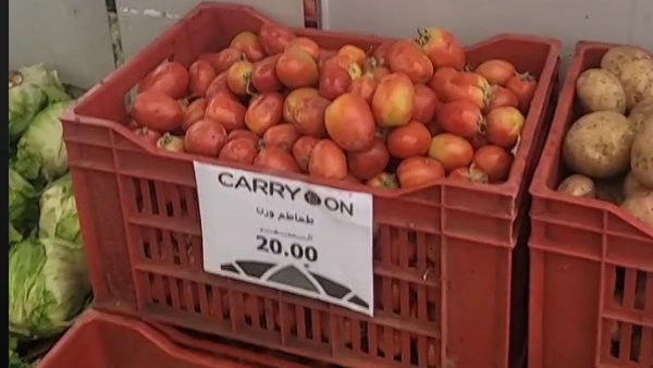 سعر الطماطم