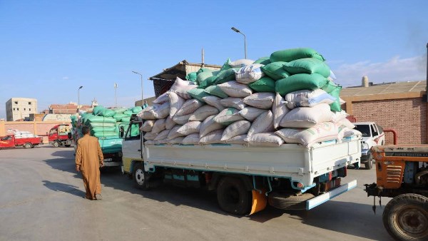 توريد القمح