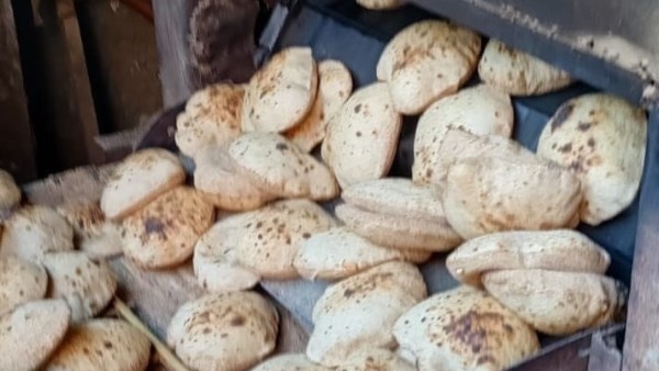 حملات مكثفة في المنوفية 