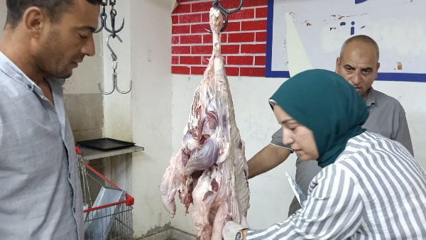 بيطري بني سويف