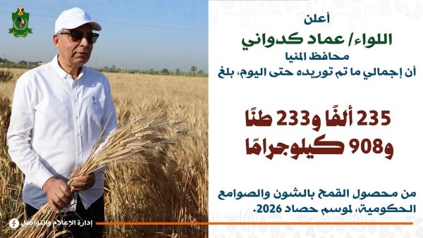 توريد 235 ألف طن من محصول القمح منذ بداية موسم 2026 بالمنيا
