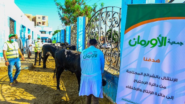توزيع لحوم الأضاحي 
