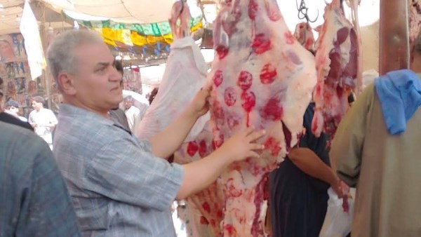 بيطري المنيا: ضبط 555 كيلو لحوم ومصنعات غذائية متنوعة خلال حملات رقابية مكثفة بيطري المنيا: ضبط 555 كيلو لحوم ومصنعات غذائية متنوعة خلال حملات رقابية مكثفة