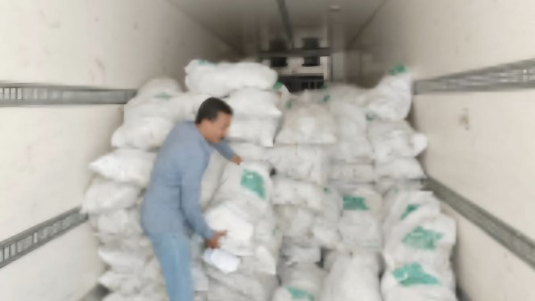 توزيع 5 أطنان لحوم و1250 وجبة غذائية للأسر الأولى بالرعاية وذبح 125 عجلًا بالتعاون مع مصر الخير ضمن حملة الأضاحي
