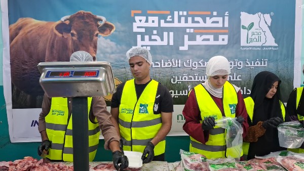 نحر وتوزيع لحوم 42 عجلًا في أول أيام عيد الأضحى بأسيوط 