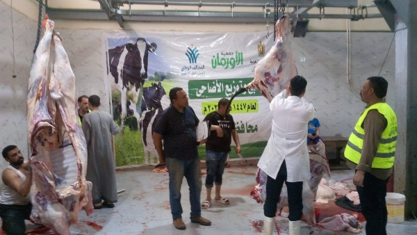 محافظ أسيوط: نحر 327 رأس ماشية بالمجازر الحكومية في ثاني أيام العيد.. ومتابعة مستمرة لضمان غذاء آمن وحماية الصحة العامة محافظ أسيوط: نحر 327 رأس ماشية بالمجازر الحكومية في ثاني أيام العيد.. ومتابعة مستمرة لضمان غذاء آمن وحماية الصحة العامة