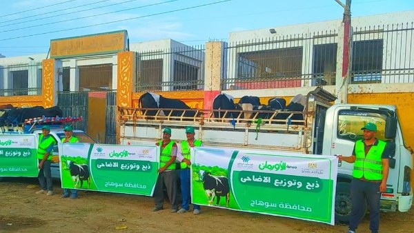 العيد هيدخل كل بيت.. 50 ألف كيلو لحوم و50 عجلا بلديا هدية للأسر الأولى بالرعاية في سوهاج