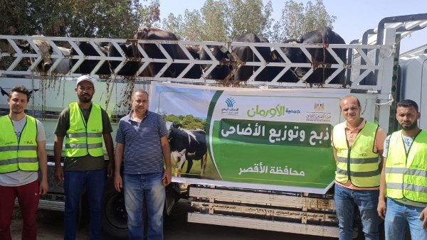 توزيع  50 ألف كيلو لحوم أضاحي و50 عجل بلدى خلال العيد بالأقصر