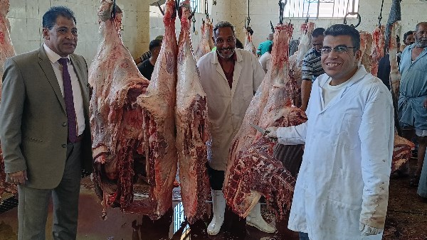 صورة ارشيفية