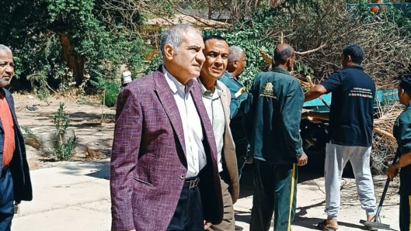 جهود جامعة أسوان