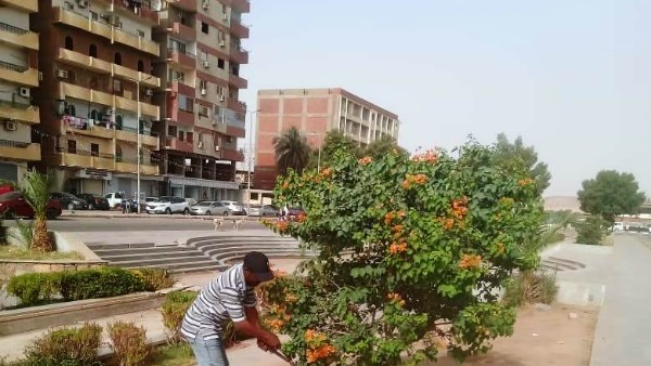 جهود محافظة أسوان