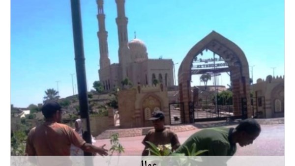 جهود متنوعة 