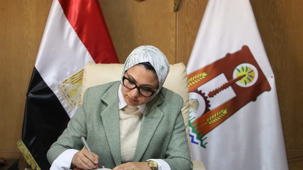 محافظ الوادي الجديد 