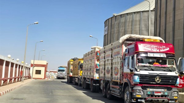 توريد قمح