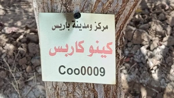 جانب من الحدث