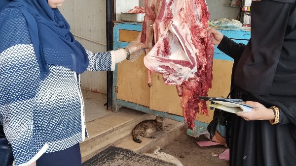 جانب من المضبوطات 