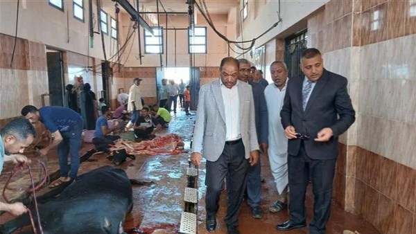 مجزر الي