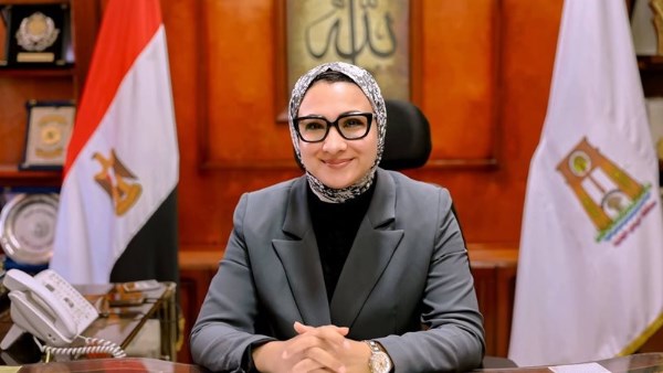 محافظ الوادي الجديد 