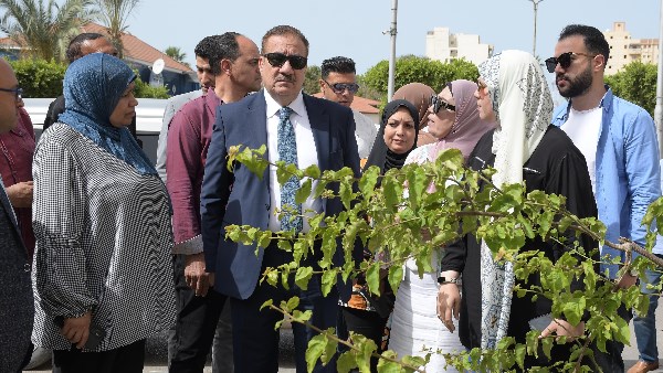 أبو ليمون يوجه بزراعة أشجار “البونسيانا” بطول الشوارع خلال أعمال التطوير