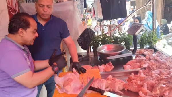 حملات رقابية بالغربية 