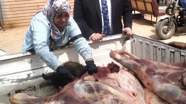 استعدادا لعيد الأضحى.. بيطري الشرقية يكثف حملاته التفتيشية على المجازر