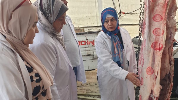 بيطري الشرقية 