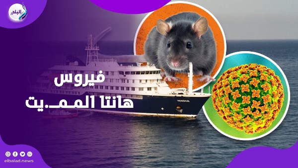 فيروس هانتا المميت .. هل تحول إلى وباء يهدد العالم؟