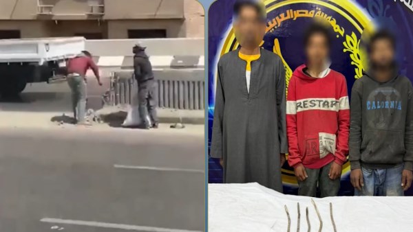 المتهمين