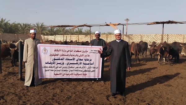 تجهيز الأضاحي