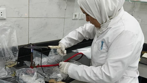 بحوث الصحة الحيوانية