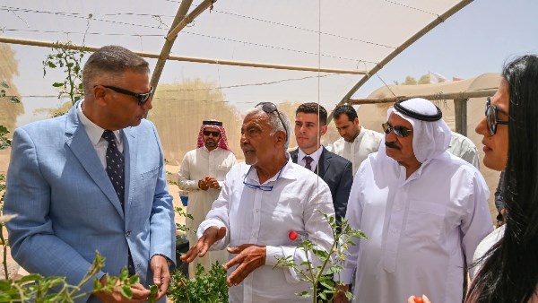 محافظ جنوب سيناء يتفقد أول مشروع للزراعة الكهروضوئية بأفريقيا في نويبع