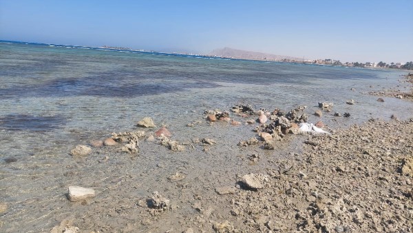 انحسار مياه البحر في الجبيل بطور سيناء 