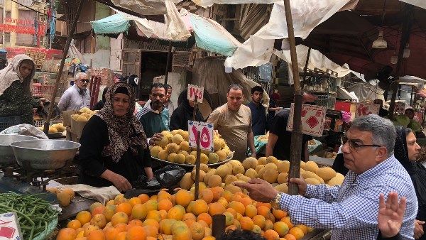 جوله لمحافظ الدقهلية 