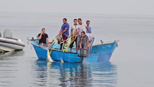 صورة موضوعية