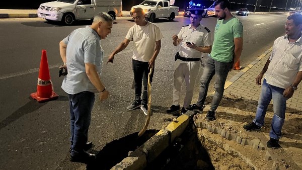 صورة موضوعية
