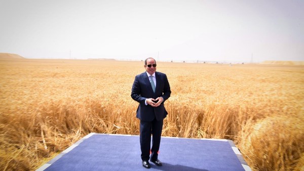 نقيب المرافق: مشروع الدلتا الجديدة تجسيد للسردية الوطنية وفرصة حقيقية لتحقيق الاكتفاء الذاتي