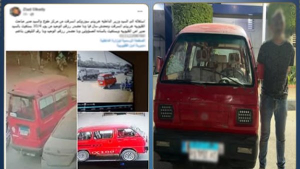 بيتباع بالواحدة ومالي السوق .. ما فائدة الخرشوف