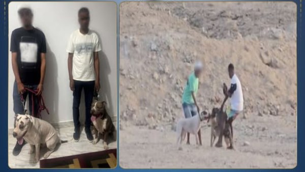 المتهمين