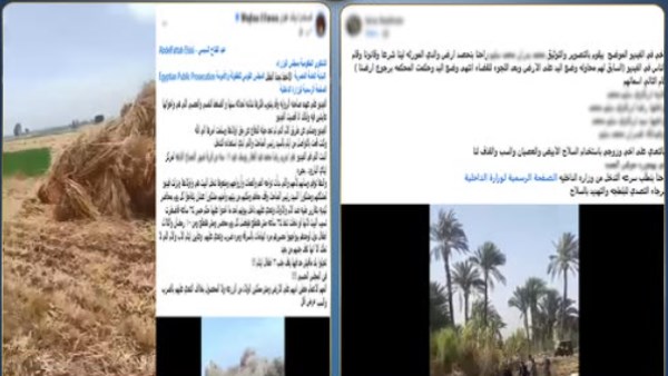 المنشور