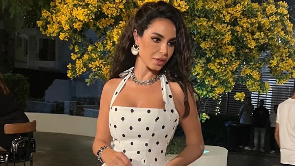 نسرين امين 