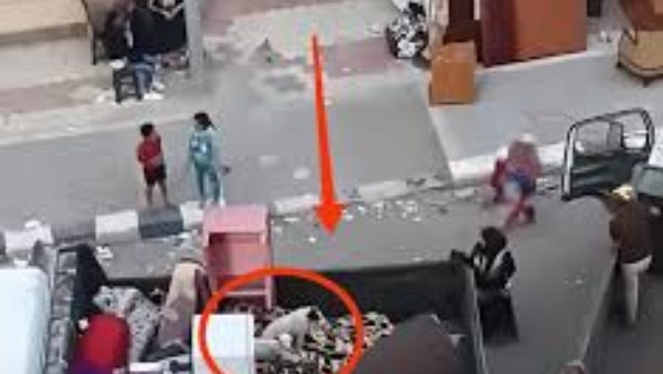 من عين الصيرة إلى بدر.. أسرة مصرية تنقل كلاب الشارع معها بعد التطوير